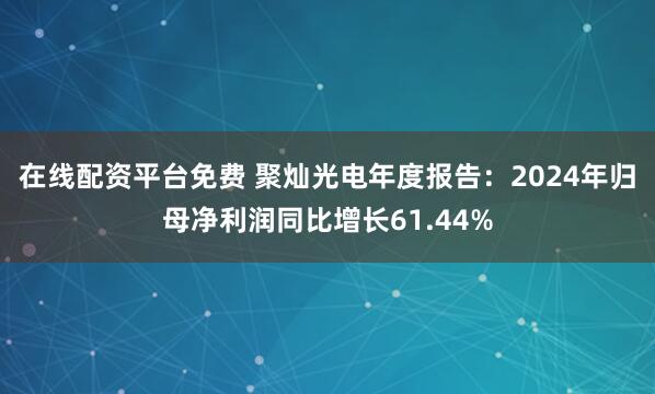 在线配资平台免费 聚灿光电年度报告：2024年归母净利润同比增长61.44%