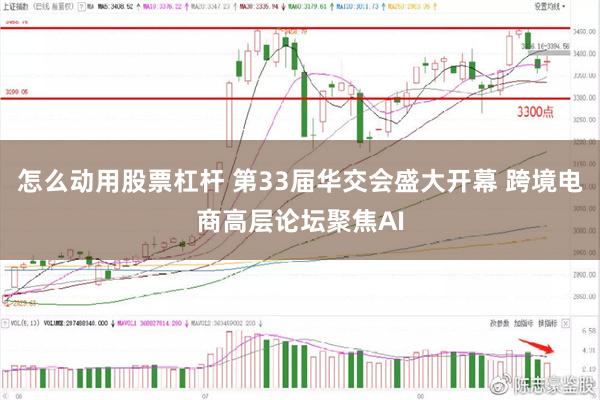 怎么动用股票杠杆 第33届华交会盛大开幕 跨境电商高层论坛聚焦AI