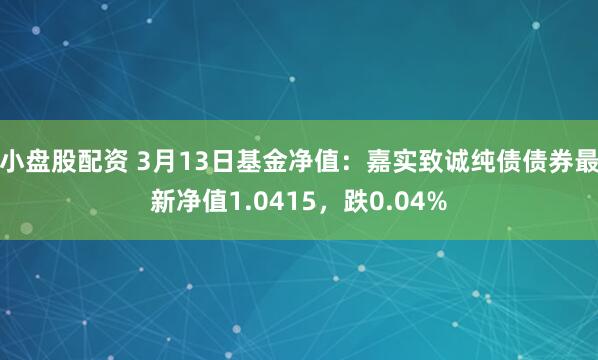 小盘股配资 3月13日基金净值：嘉实致诚纯债债券最新净值1.0415，跌0.04%